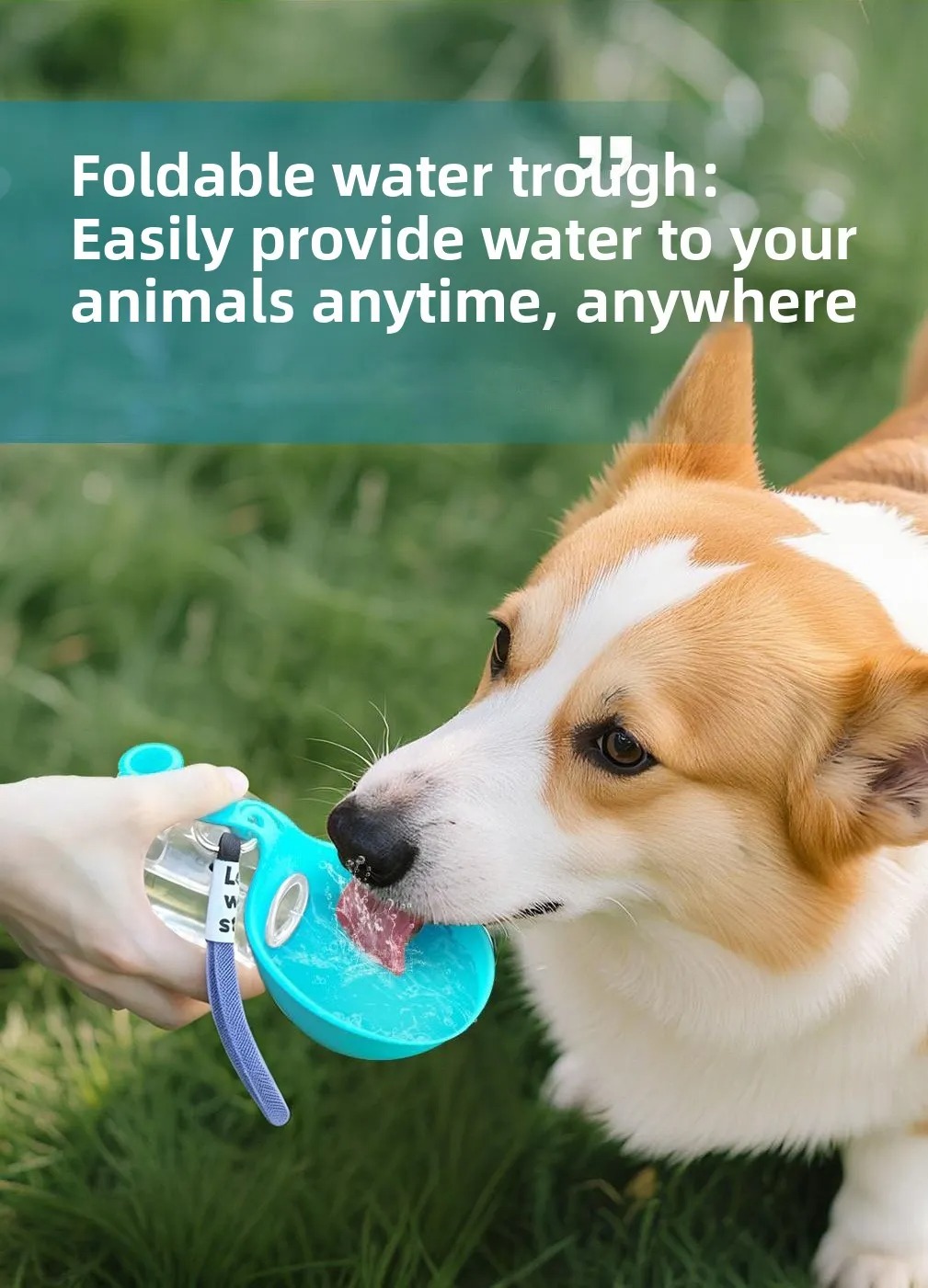 Whiskerly | AquaPup™ Travel Pet Water Bottle – Leak-Proof, One-Hand Flip Bowl with Rope Lanyard (285ml) thumbnail 3