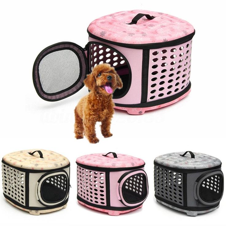 Whiskerly |  ComfortRide™ Soft-Sided Pet Carrier – Airline-Friendly Travel Tote with Plush Interior & Mesh Ventilation  thumbnail 3